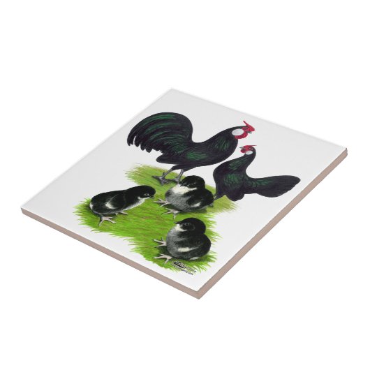 Rosecomb Black Bantam Family Fliese (Seite)