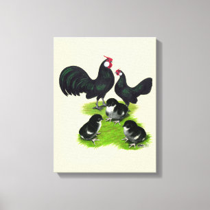 Rosecomb Black Bantam Family Leinwanddruck