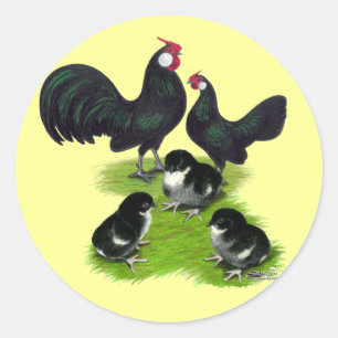 Rosecomb Black Bantam Family Runder Aufkleber