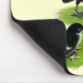 Rosecomb schwarze kleine Familie Mousepad (Ecke)