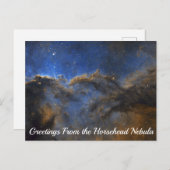 Rosehanebel Postkarte (Vorne/Hinten)