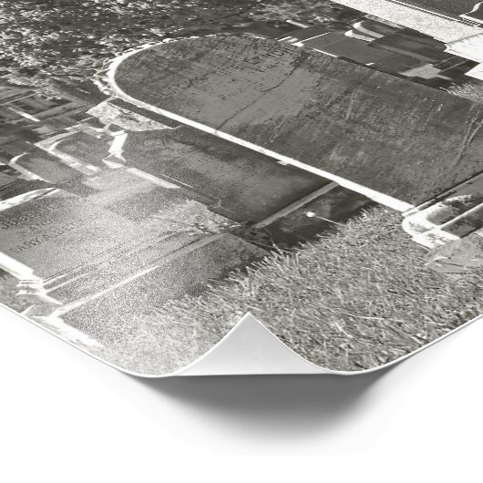 Rosehill III Fotodruck (Ecke)