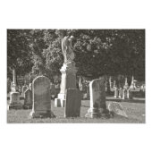 Rosehill III Fotodruck (Vorne)