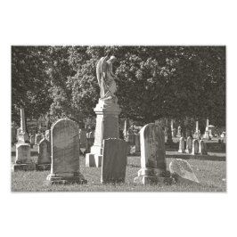 Rosehill III Fotodruck