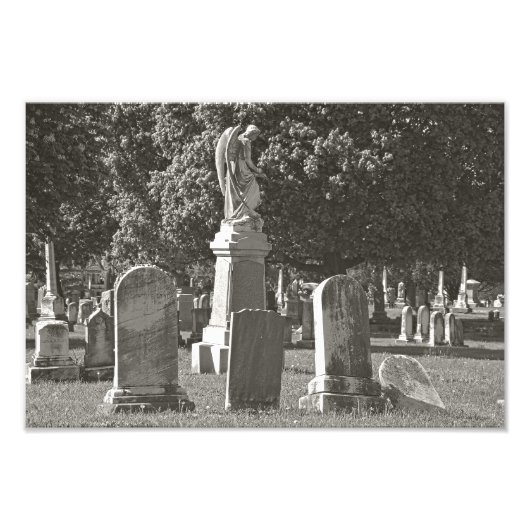 Rosehill III Fotodruck (Vorne)