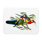 Rosehill Parakeet Parrot Australien Magnet (Horizontal)