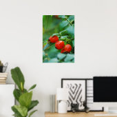 Rosehip-Busch nach Regen Poster (Heimbüro)