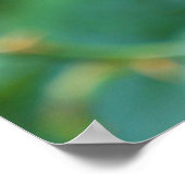 Rosehip-Busch nach Regen Poster (Ecke)