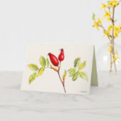 Rosehip-Früchte botanische Aquarellmalerei Karte (Gelbe Blume)