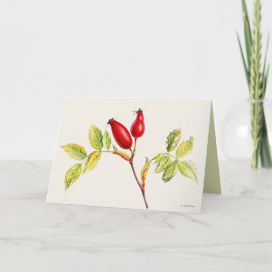 Rosehip-Früchte botanische Aquarellmalerei Karte (Vorderseite)