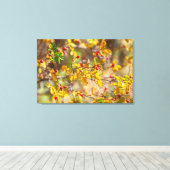 Rosehip Herbst Leinwanddruck (Insitu (Holzboden))