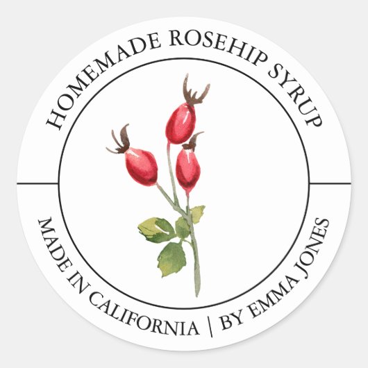 Rosehip Modernes Label Runder Aufkleber (Vorderseite)