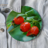 Rosehip nach Regen Button (Beispiel)