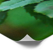 Rosehip nach Regen Poster (Ecke)