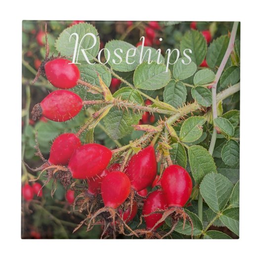 Rosehips botanical fliese (Vorderseite)
