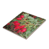 Rosehips botanical fliese (Seite)