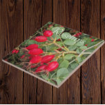 Rosehips botanical fliese<br><div class="desc">Botanisches Thema, Keramik Fliesen, die ein Foto von hellen, roten Rosehips, die Frucht von verschiedenen Rose Pflanze. Ein schönes, blumengeschmücktes Design! Wählen Sie Ihre Kachelgröße aus. Eine tolle Küche trivet!</div>