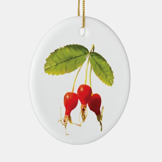 Rosehips Muster 3 Keramik Ornament (Rechts)
