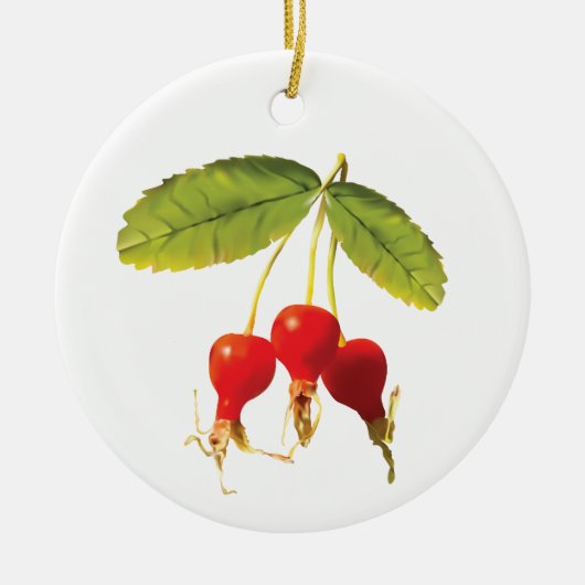 Rosehips Muster 3 Keramik Ornament (Vorne)