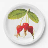 Rosehips Muster Rote Seiten Pappteller (Vorderseite)