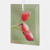 Rosehips Ornament Aus Glas (Vorderseite links)
