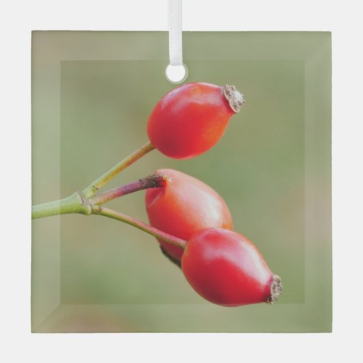 Rosehips Ornament Aus Glas (Vorderseite)