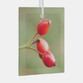 Rosehips Ornament Aus Glas (Vorderseite Rechts)