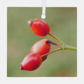 Rosehips Ornament Aus Glas (Rückseite)