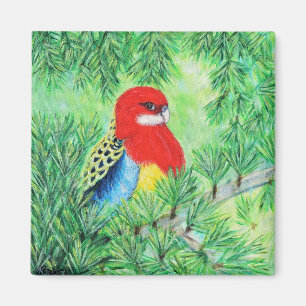 Rosella Bird Painting Magnet