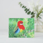 Rosella Bird Painting Postkarte (Stehend Vorderseite)