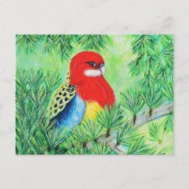 Rosella Bird Painting Postkarte