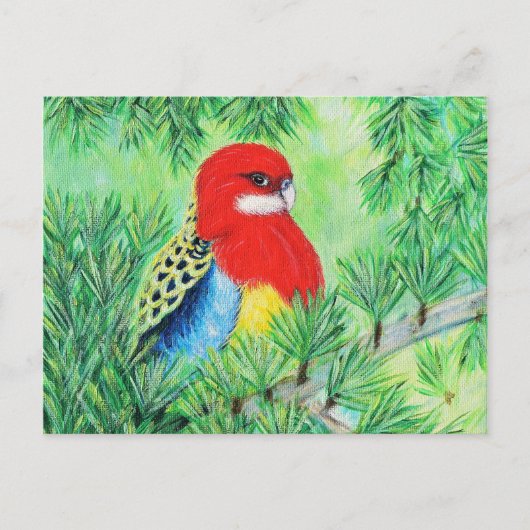 Rosella Bird Painting Postkarte (Vorderseite)