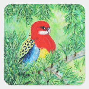 Rosella Bird Painting Quadratischer Aufkleber