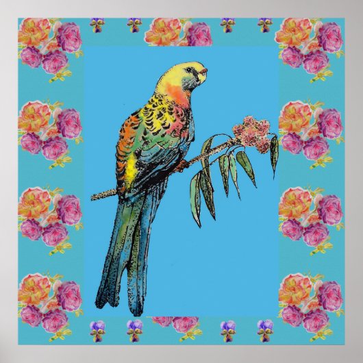 Rosella Bird Watercolor Parrot Aqua Rose Poster (Vorne)