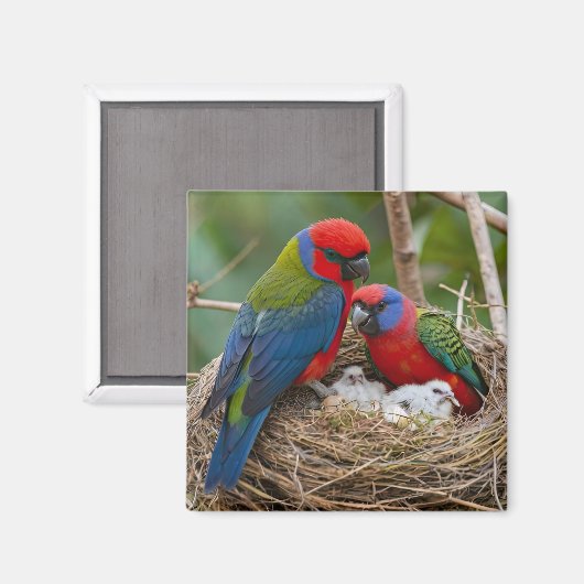 Rosella Birds Magnet (Vorderseite/Rückseite)