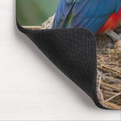 Rosella Birds Mousepad (Ecke)