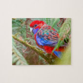 Rosella Birds of Australia Puzzle (Horizontal)