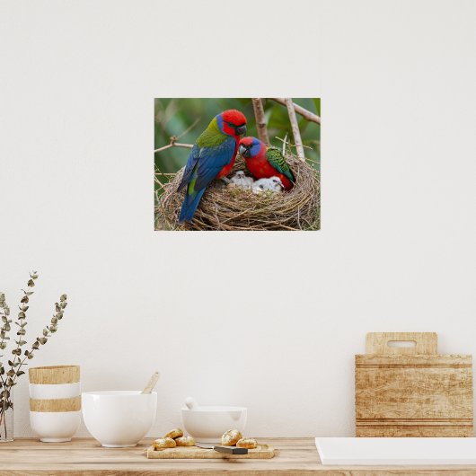 Rosella Birds Poster (Küche)