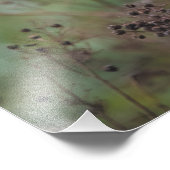 Rosella-Papagei - 12x16" Foto drucken (Ecke)