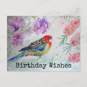 Rosella-Papagei mit Bottlebrush-Geburtstagskarte Postkarte