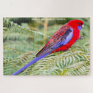 Rosella-Papageien Australien Puzzle