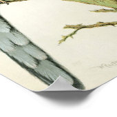 Rosella Parrakeets Poster (Ecke)