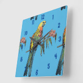 Rosella Parrot Wasserfarben Quadratische Wanduhr (Winkel)
