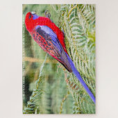 Rosella Parrots Australia Jigsaw Puzzle (Vertikal)