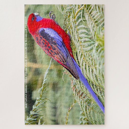 Rosella Parrots Australia Jigsaw Puzzle (Vertikal)