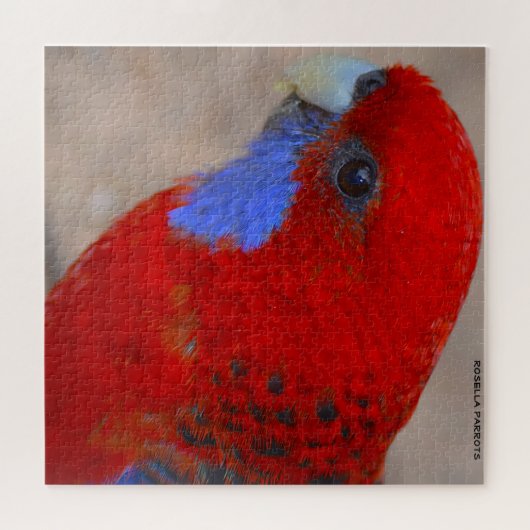 Rosella Parrots Australien Puzzle (Horizontal)