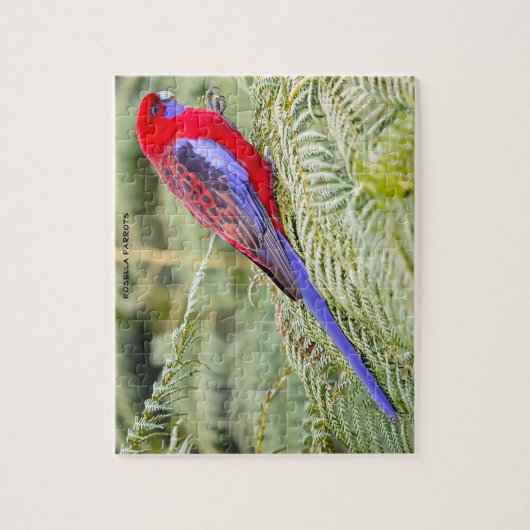 Rosella Parrots Australien Puzzle (Vertikal)