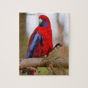 Rosella Parrots Australien Puzzle