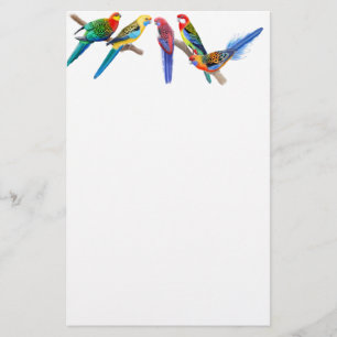 Rosella Parrots Briefpapier