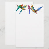Rosella Parrots Briefpapier (Vorne/Hinten)